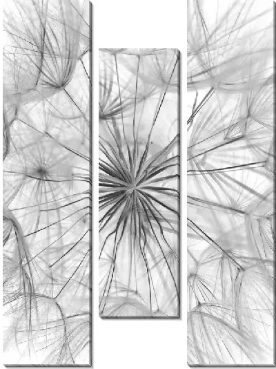 Модульная картина Одуванчик №105