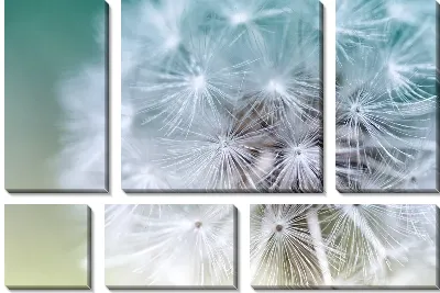 Модульная картина Одуванчик №115