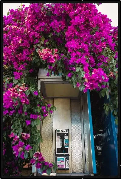 Картина Телефонная будка в цветах