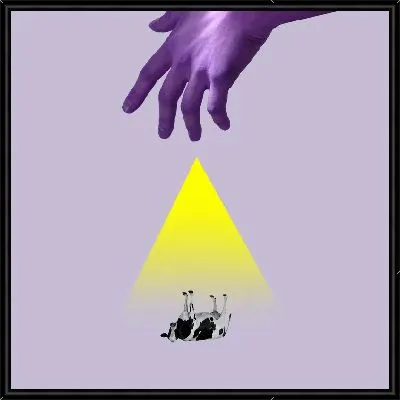 Желтый треугольник, рука и корова