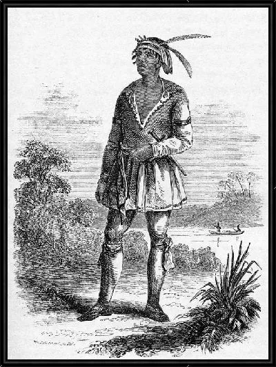 Картина Индеец (Indian)
