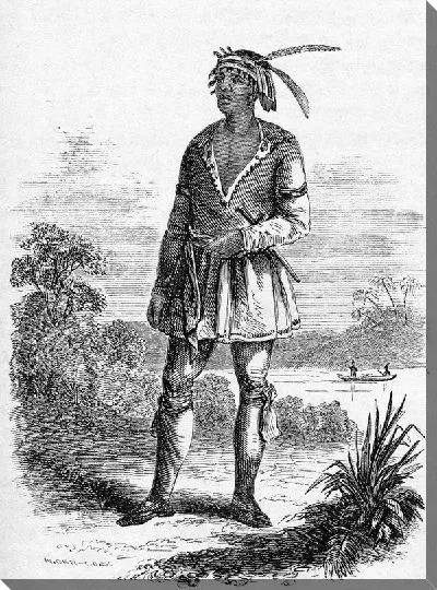 Постер Индеец (Indian)