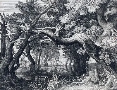 Плакат Лес (Forest) №11