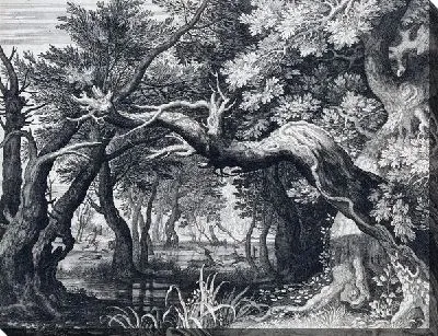 Постер Лес (Forest) №11