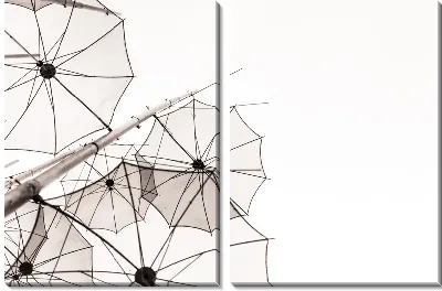 Модульная картина Прозрачные зонты