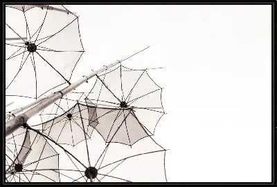 Картина Прозрачные зонты