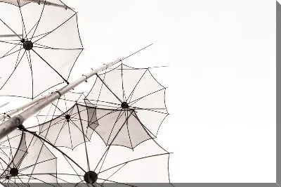 Постер Прозрачные зонты