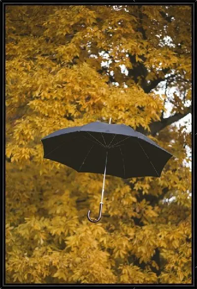 Картина Зон на фоне осени
