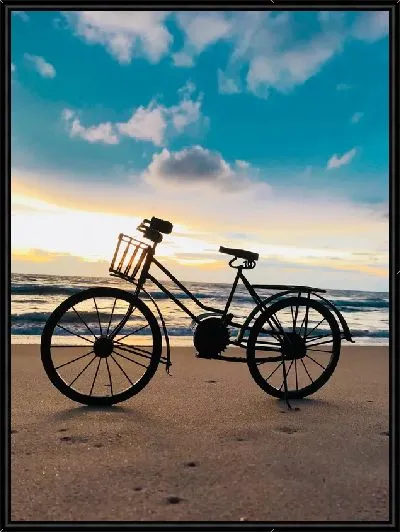 Картина Велосипед на фоне моря