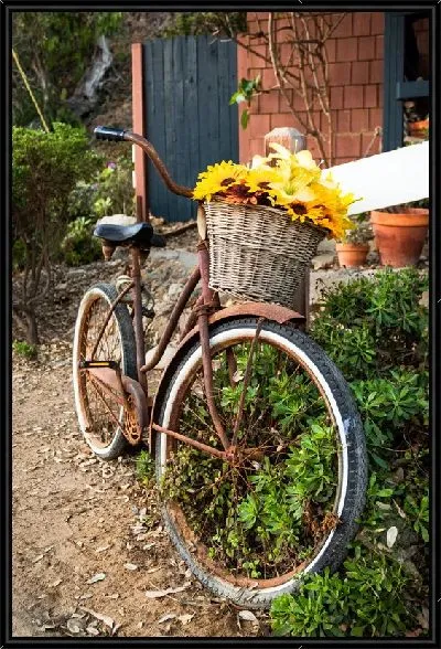 Картина Велосипед с подсолнухами