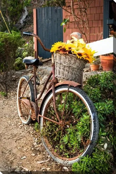 Постер Велосипед с подсолнухами