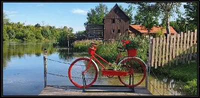 Картина Красный велосипед в Голландии