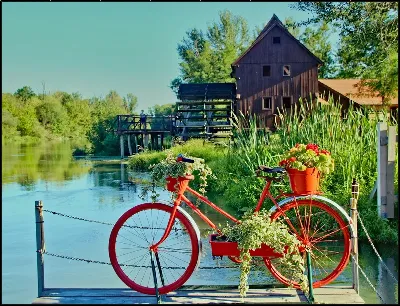 картина
