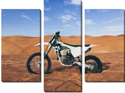 Модульная картина Мотоцикл в пустыне
