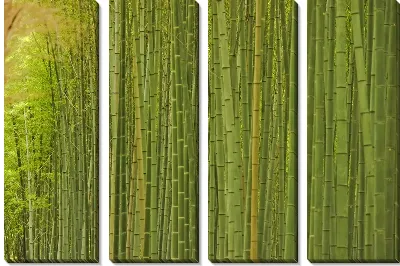 Модульная картина Стволы бамбука №2
