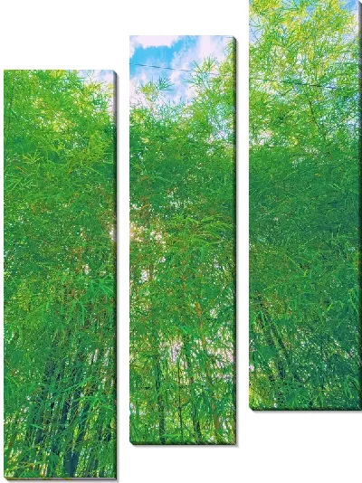 Модульная картина Лес бамбука