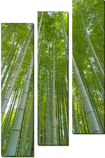 Модульная картина Бамбуковый лес
