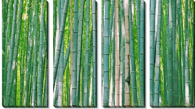 Модульная картина Стволы бамбука в лесу