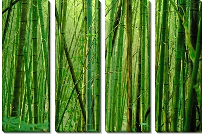Модульная картина Бамбук №1