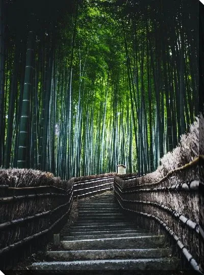 Постер Лестница вдоль бамбука