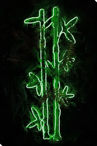 Постер Неоновый бамбук