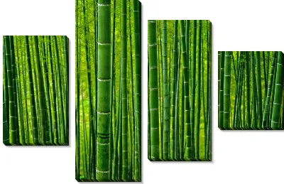 Модульная картина Бамбук №19