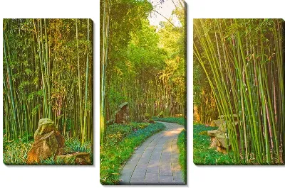 Модульная картина Тропинка и бамбук
