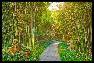 Картина Тропинка и бамбук