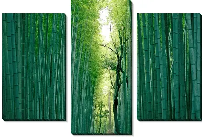 Модульная картина Бамбук №26