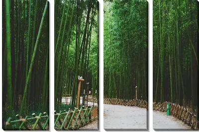 Модульная картина Тропинка и бамбук №2
