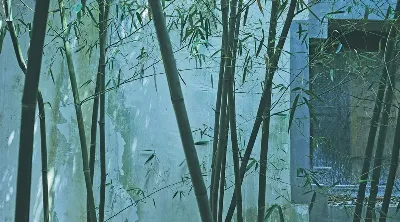 шаблон id 38