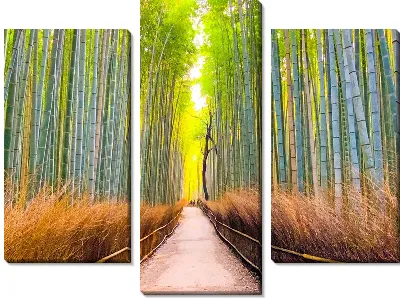 Модульная картина Бамбук №33