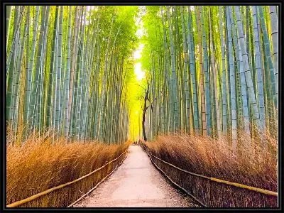 Картина Бамбук №33