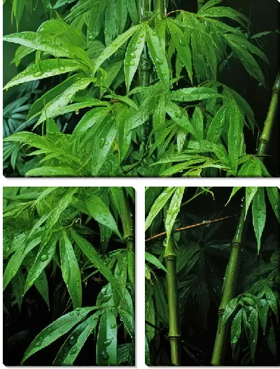 Модульная картина Бамбук в стиле арт №17