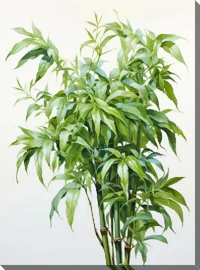 Картина маслом Бамбук в стиле арт №32