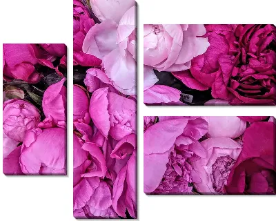 Модульная картина Пионы №28