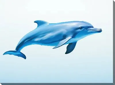 Картина маслом Дельфин в стиле арт №41