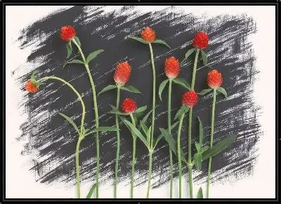 Картина Клевер