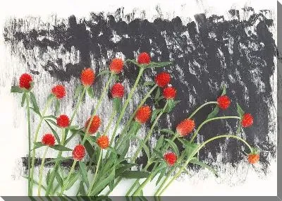 Постер Клевер №2