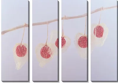 Модульная картина Физалис