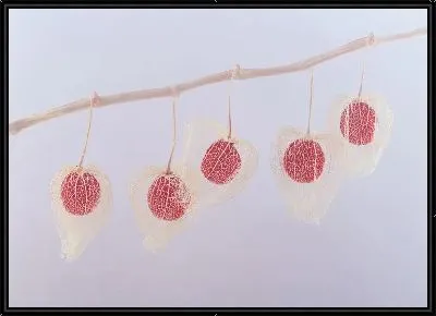 Картина Физалис