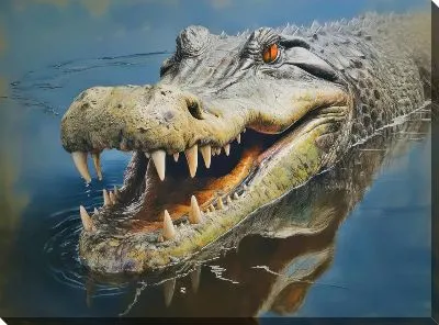 Картина маслом Крокодил №20