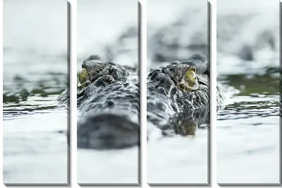 Модульная картина Крокодил №521