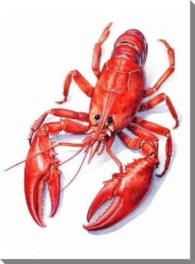 Постер Рак №69