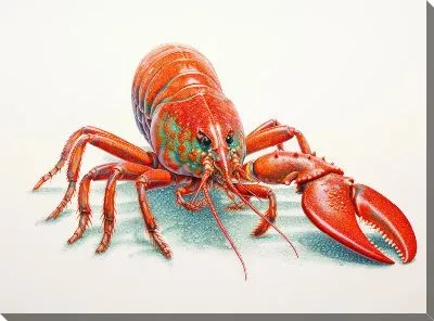 Картина маслом Рак №82