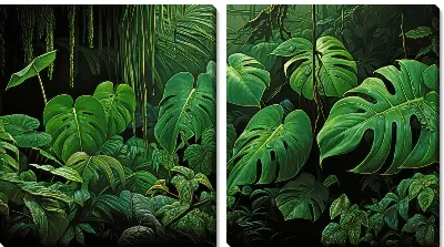 Модульная картина Монстера №56