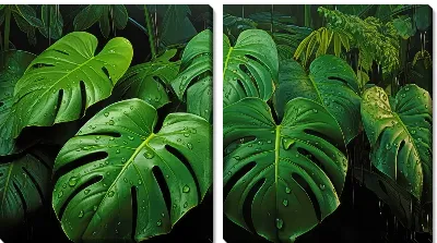 Модульная картина Монстера №57