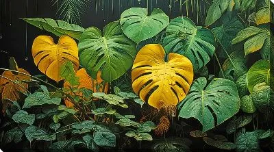 Картина маслом Монстера №60