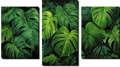 Модульная картина Монстера в джунглях №65