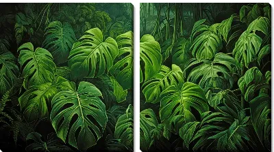 Модульная картина Монстера в джунглях №66